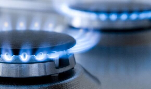 786fb74623cc2481df450017ea3141a7 (1)